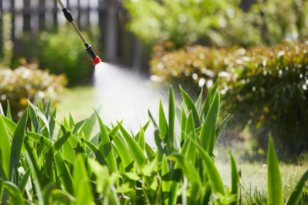 Tamper-Resistant Bait Stations for Rodents in Severna Park