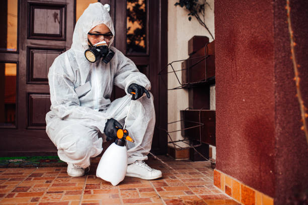 Attic and Crawl Space Rodent Treatment in Severna Park