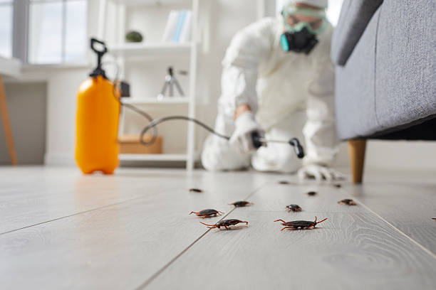 Commercial Rodent Management in Severna Park